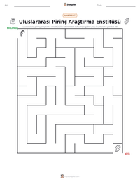 Uluslararası Pirinç Araştırma Enstitüsü yazdırılabilir çalışma sayfası önizlemesi