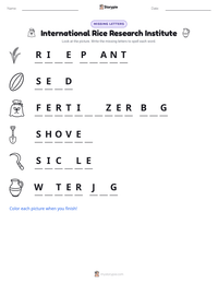 International Rice Research Institute printable worksheet preview