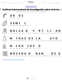 Vista previa de la hoja de trabajo imprimible de Instituto Internacional de Investigación sobre el Arroz
