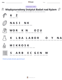 Podgląd drukowalnego arkusza ćwiczeń Międzynarodowy Instytut Badań nad Ryżem
