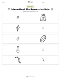 International Rice Research Institute printable worksheet preview