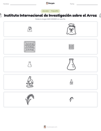 Vista previa de la hoja de trabajo imprimible de Instituto Internacional de Investigación sobre el Arroz
