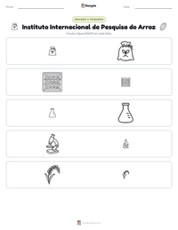Prévia da folha de atividades imprimível Instituto Internacional de Pesquisa do Arroz