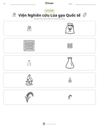 Xem trước tài liệu in sẵn Viện Nghiên cứu Lúa gạo Quốc tế