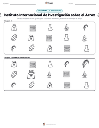 Vista previa de la hoja de trabajo imprimible de Instituto Internacional de Investigación sobre el Arroz