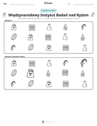 Podgląd drukowalnego arkusza ćwiczeń Międzynarodowy Instytut Badań nad Ryżem