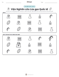 Xem trước tài liệu in sẵn Viện Nghiên cứu Lúa gạo Quốc tế