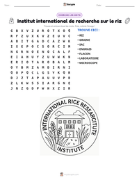 Aperçu de la feuille de travail imprimable Institut international de recherche sur le riz