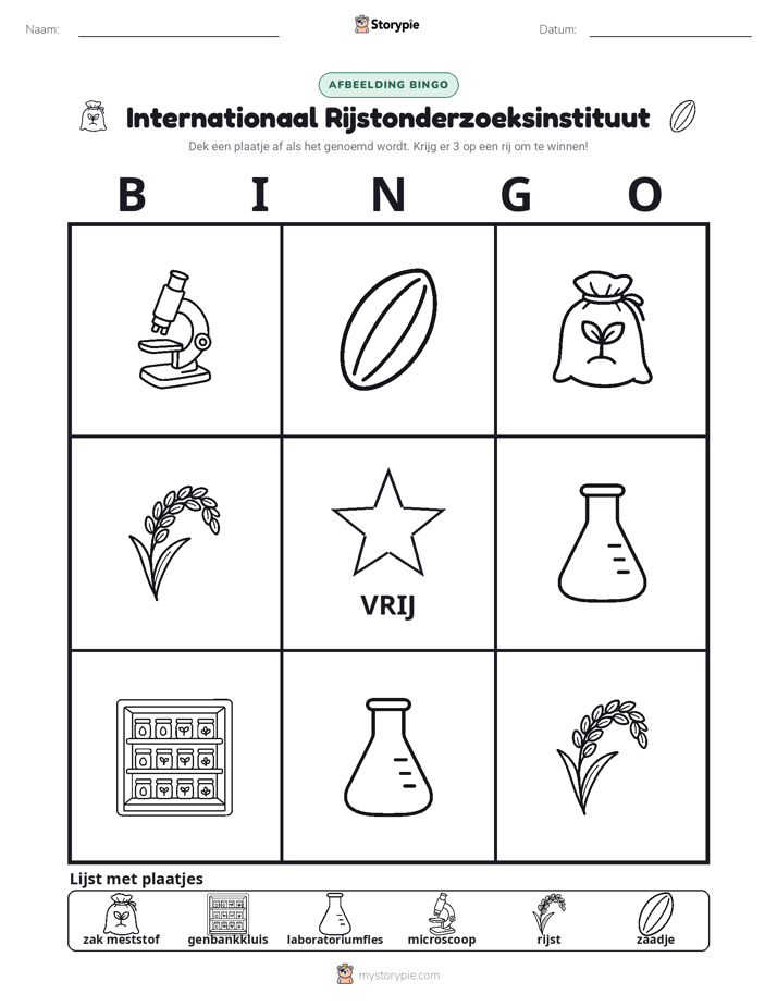 Afbeelding Bingo