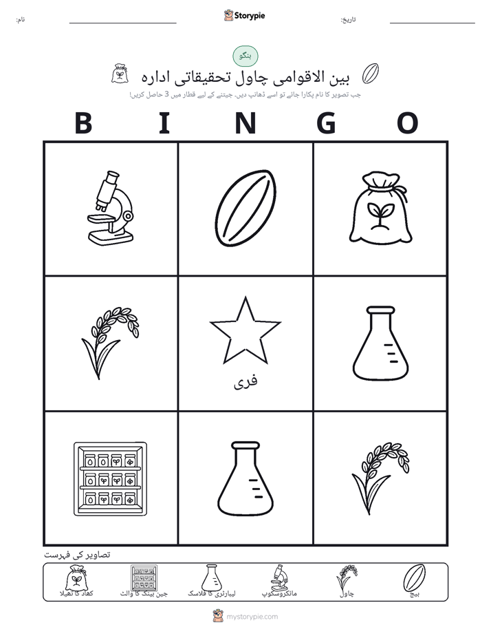 تصویری بنگو
