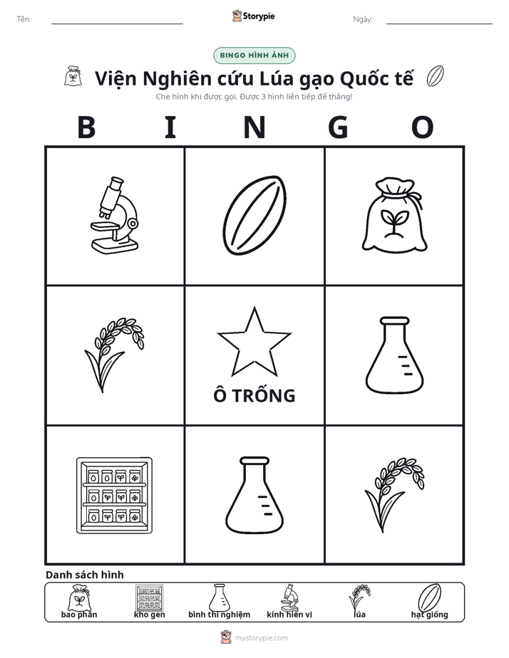 Bingo Hình Ảnh