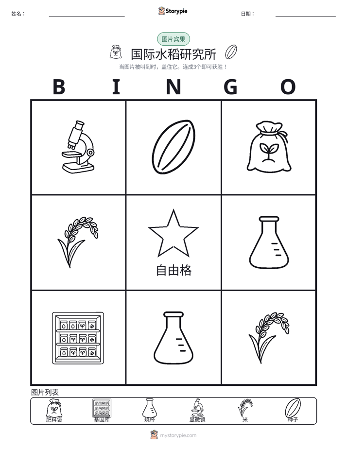 图片宾果