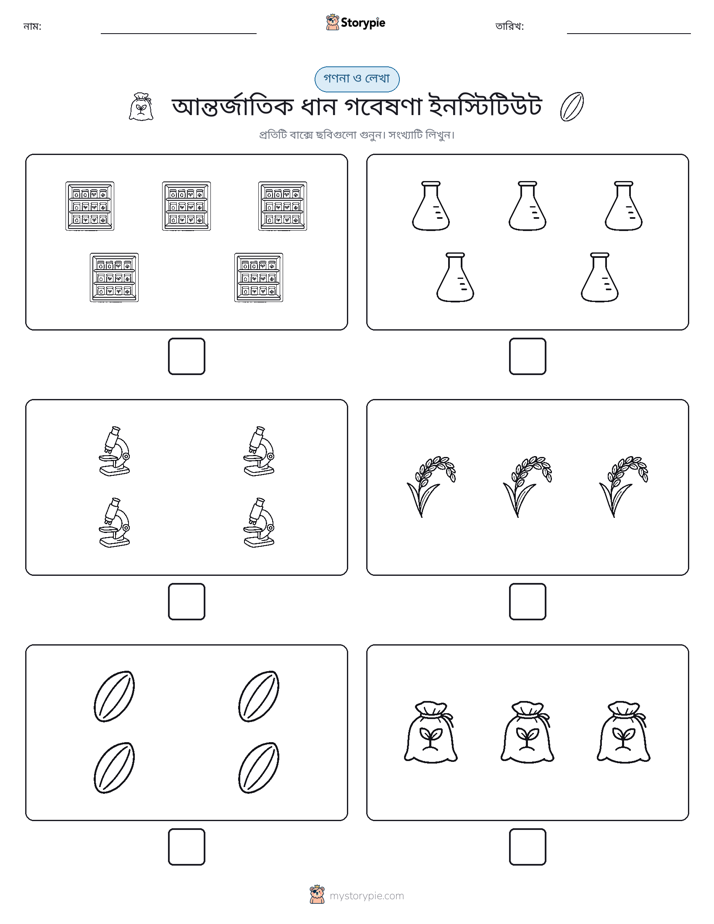 গণনা & লিখুন