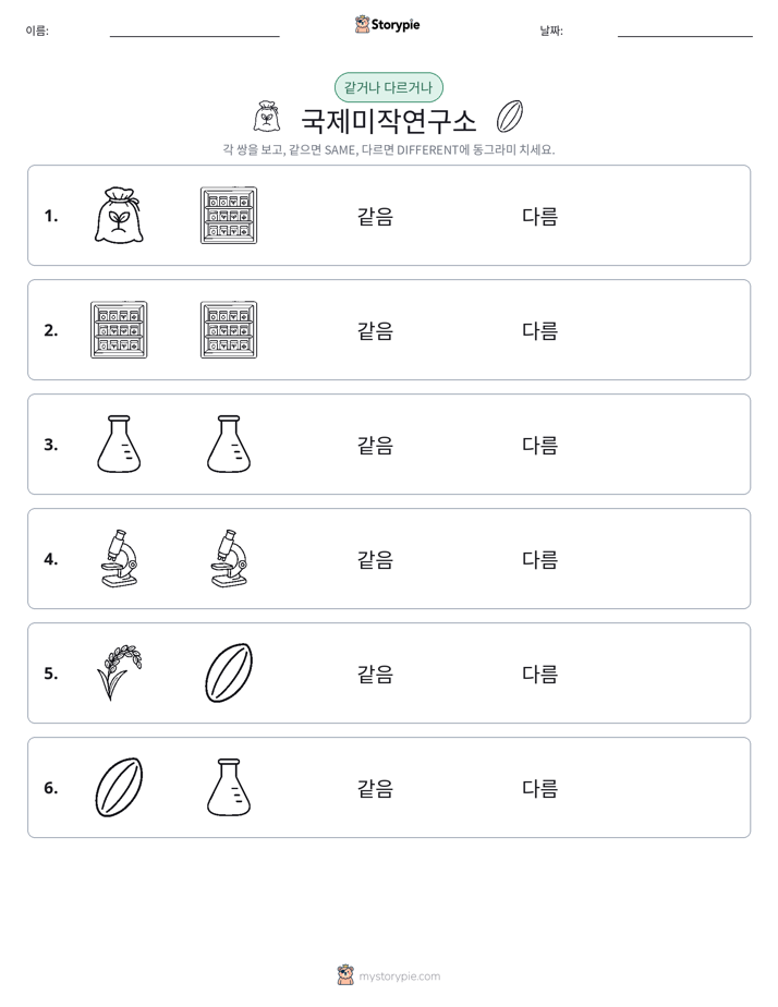 같은 것 또는 다른 것