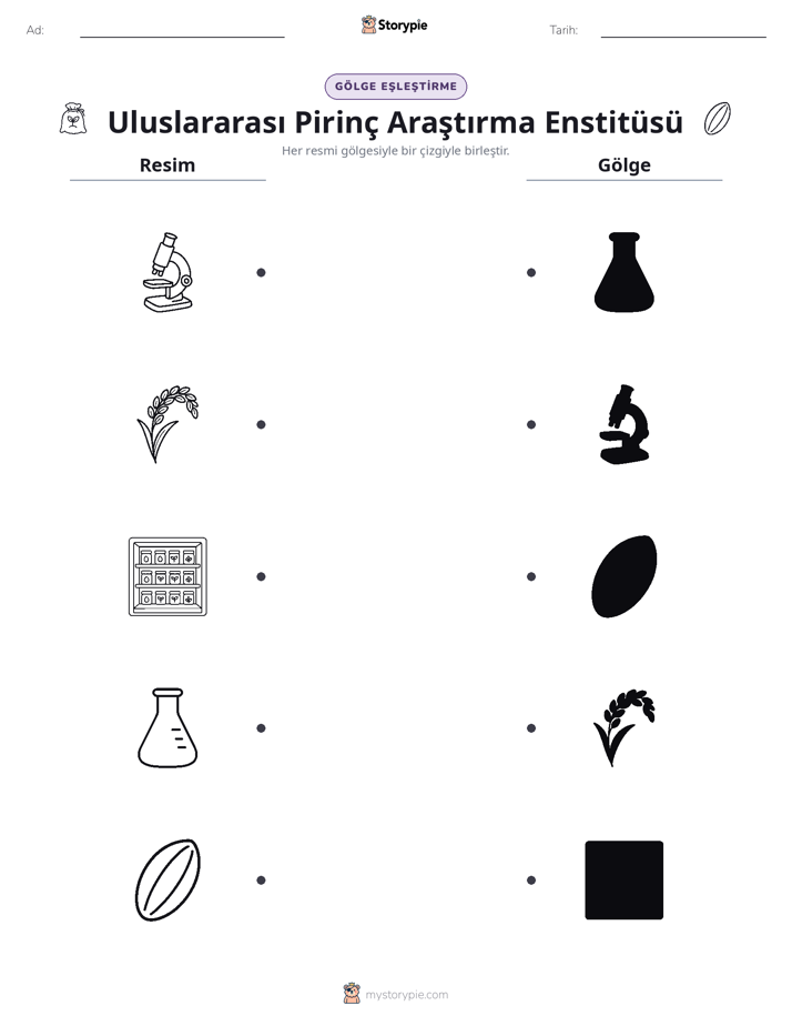 Gölge Eşleştirme