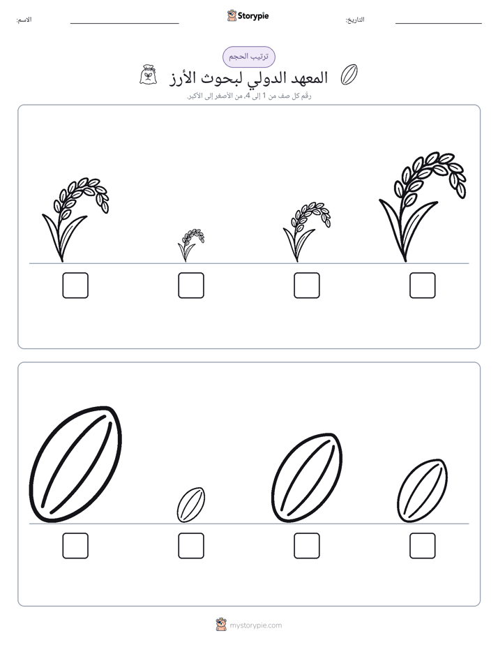 ترتيب الحجم