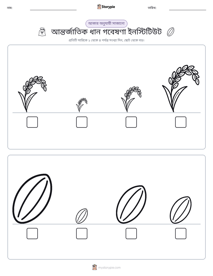 আকারের ক্রম