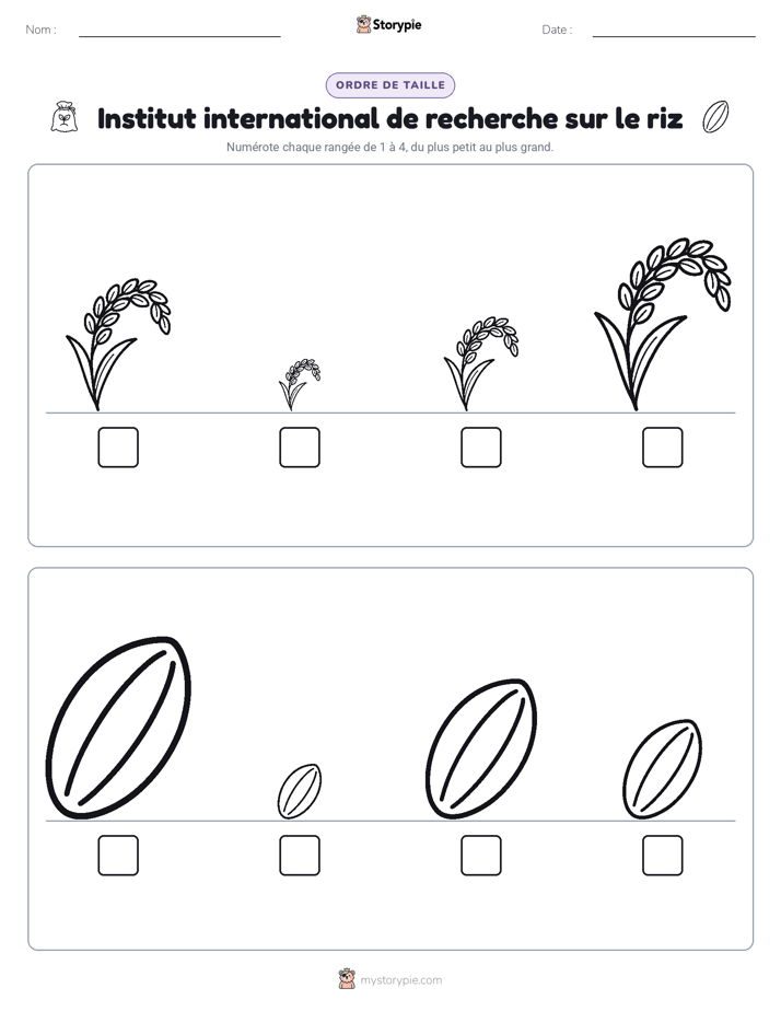 Ordre de Taille