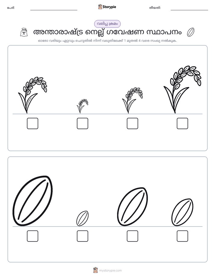 വലുപ്പം ക്രമം