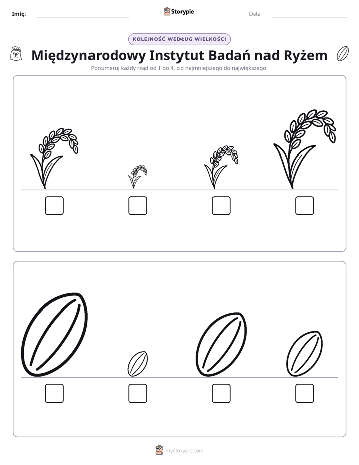 Porządek rozmiarów