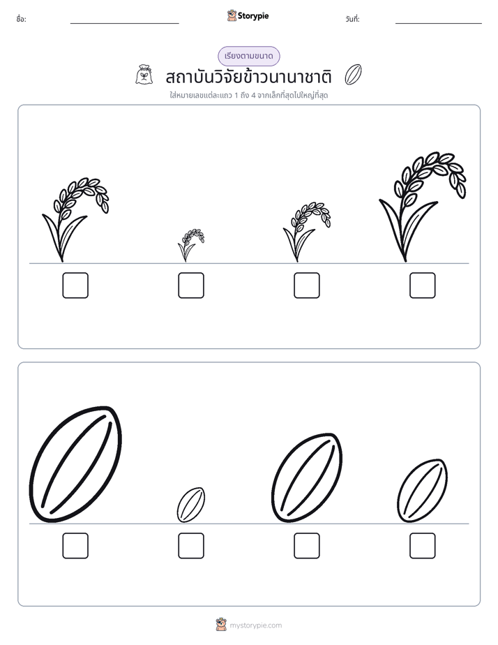 ลำดับขนาด