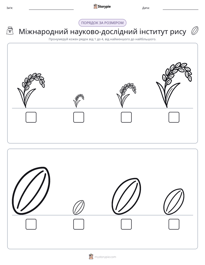 Порядок Розміру