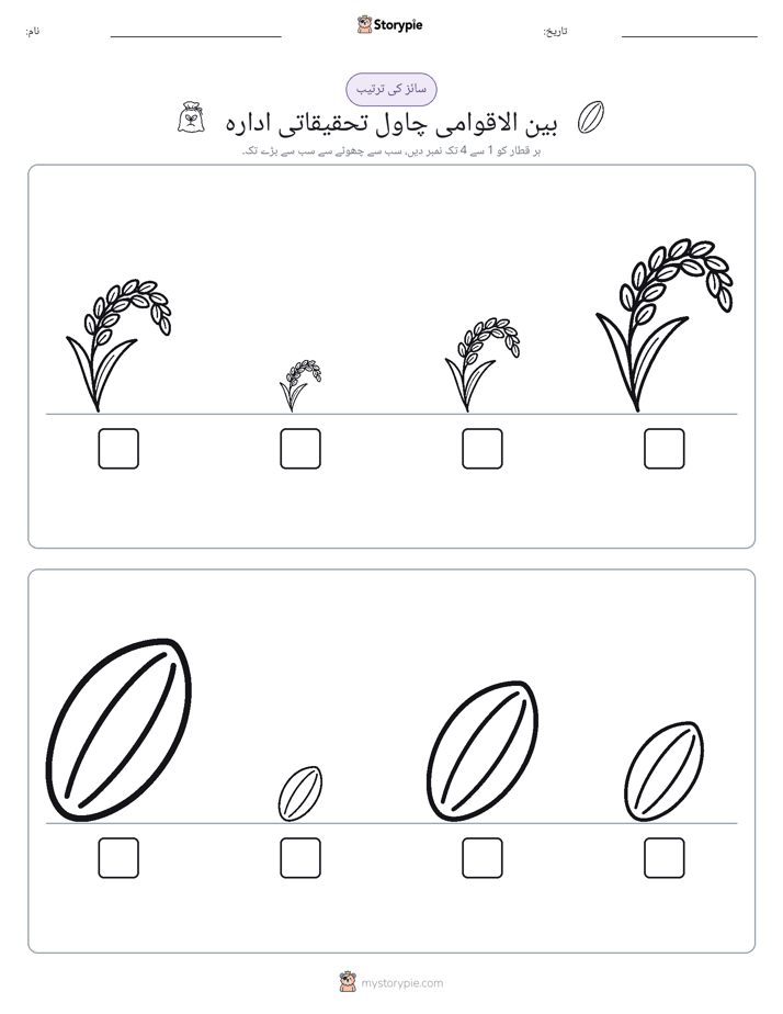 سائز کی ترتیب