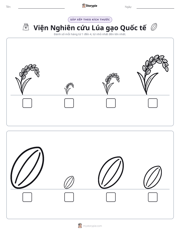 Thứ Tự Kích Thước