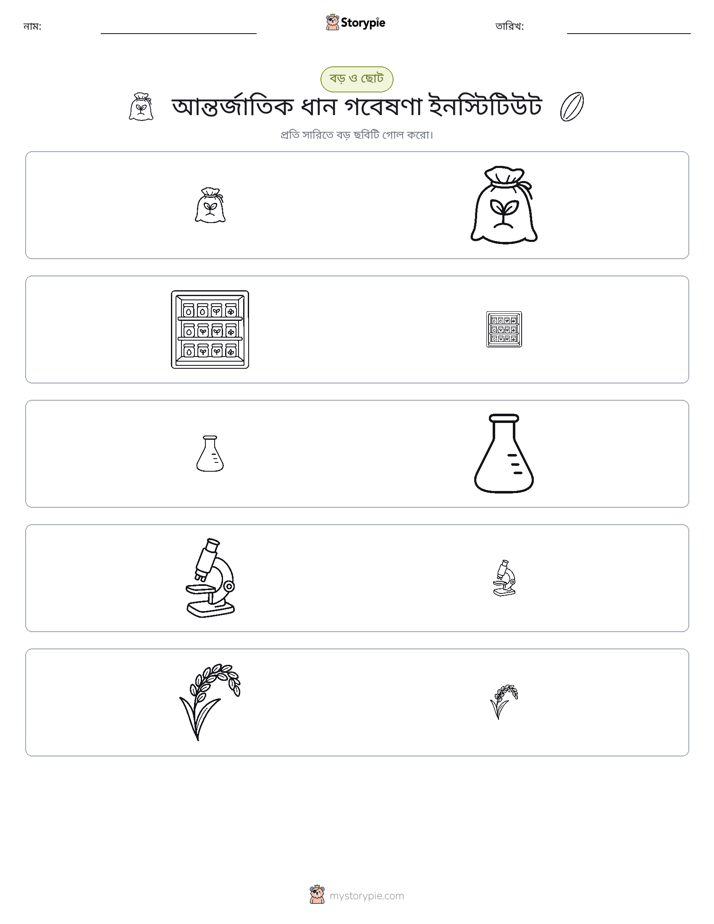 সাজানো