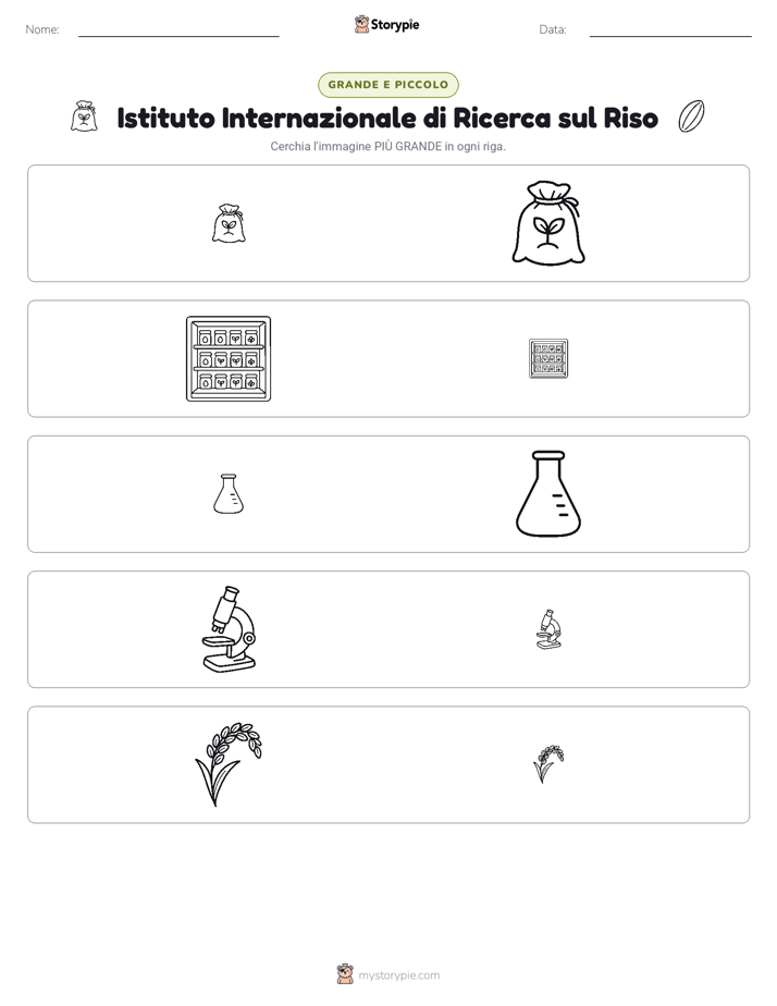 Ordinamento