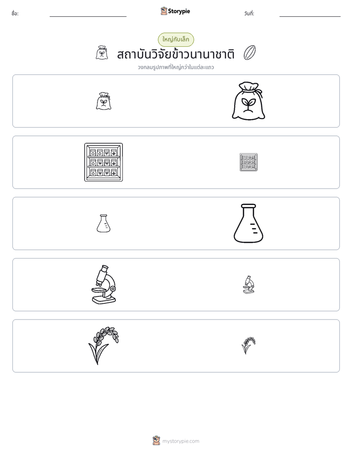 การจัดเรียง