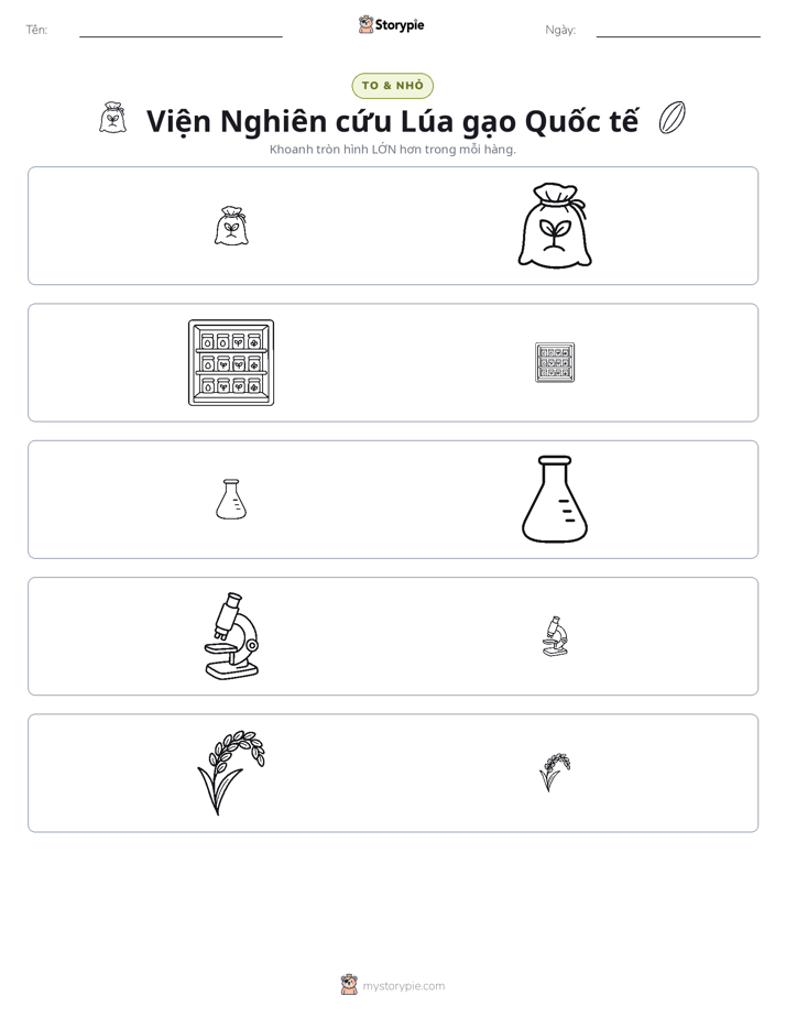 Phân Loại