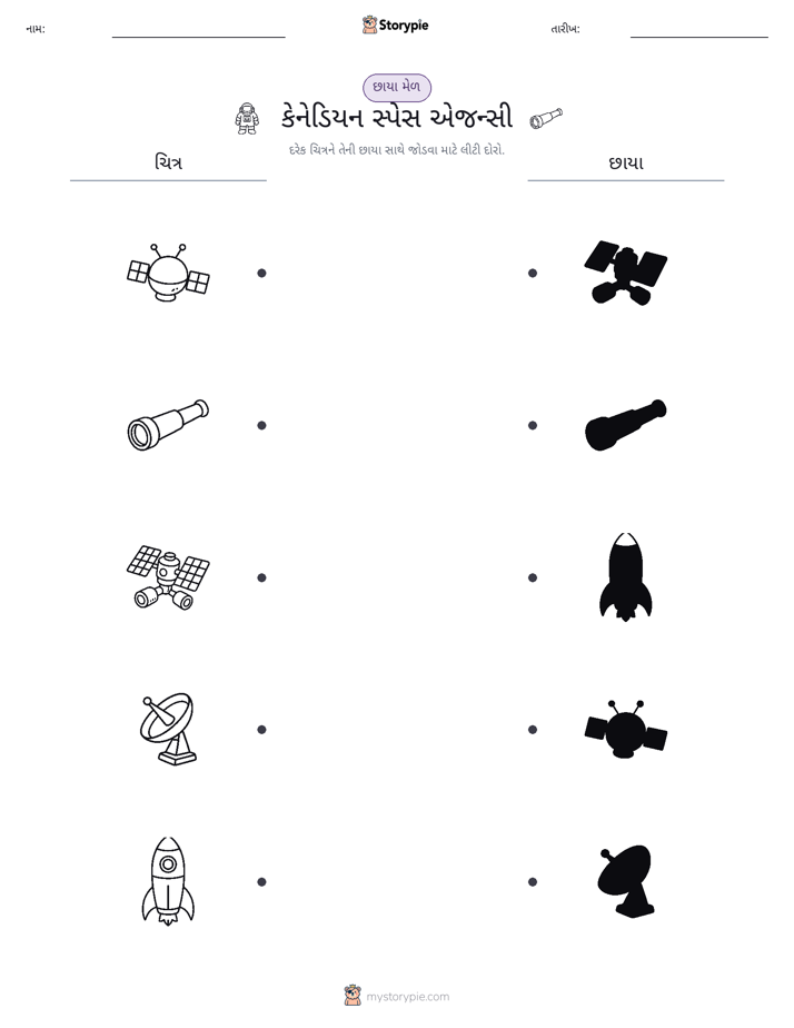 શેડો મેચ