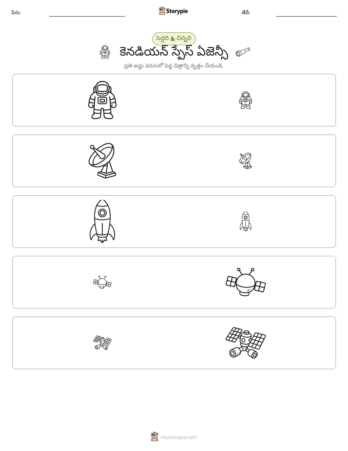వర్గీకరణ