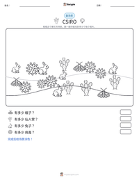 CSIRO 可打印工作表预览
