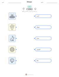 معاينة ورقة العمل القابلة للطباعة CSIRO