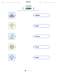 CSIRO printable worksheet preview