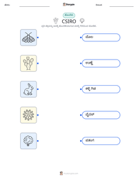 CSIRO ಮುದ್ರಣೀಯ ಕಾರ್ಯಪತ್ರದ ಪೂರ್ವದೃಶ್ಯ