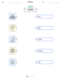 CSIRO 인쇄 가능한 워크시트 미리보기