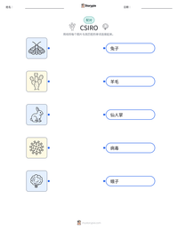 CSIRO 可打印工作表预览