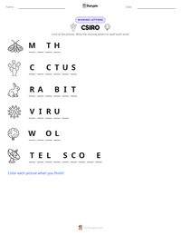CSIRO printable worksheet preview