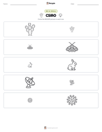 CSIRO printable worksheet preview