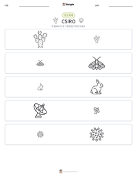 CSIRO 인쇄 가능한 워크시트 미리보기