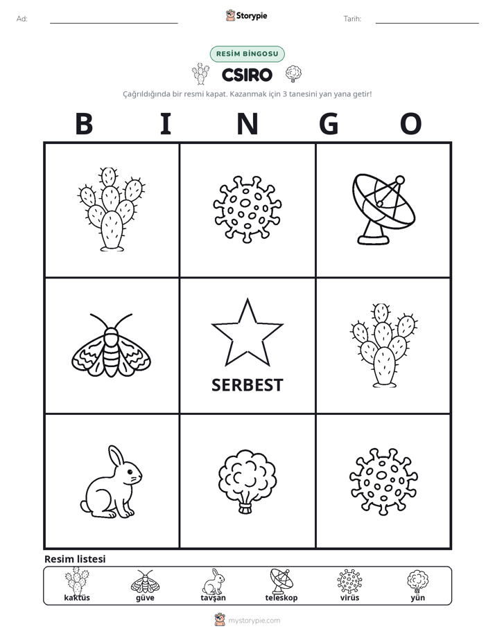 Resim Bingo