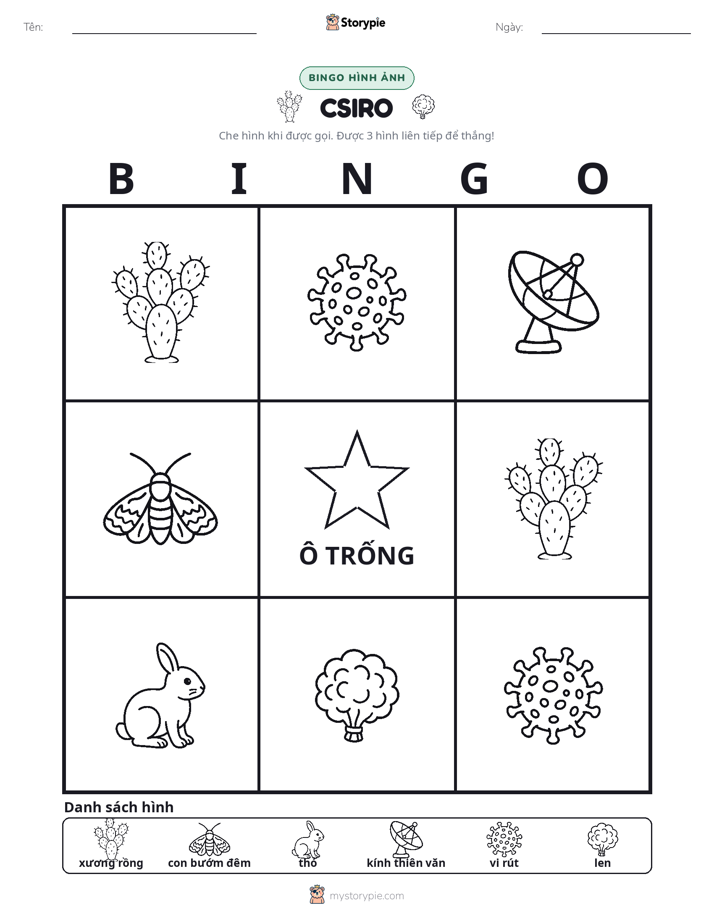 Bingo Hình Ảnh