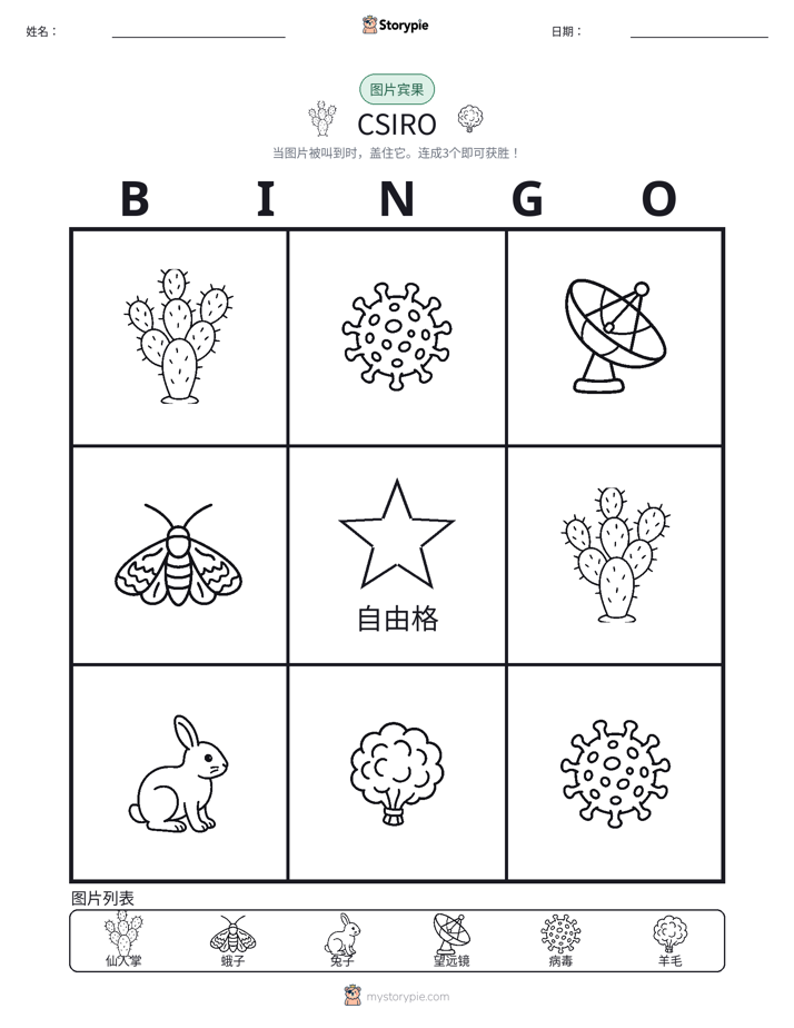 图片宾果