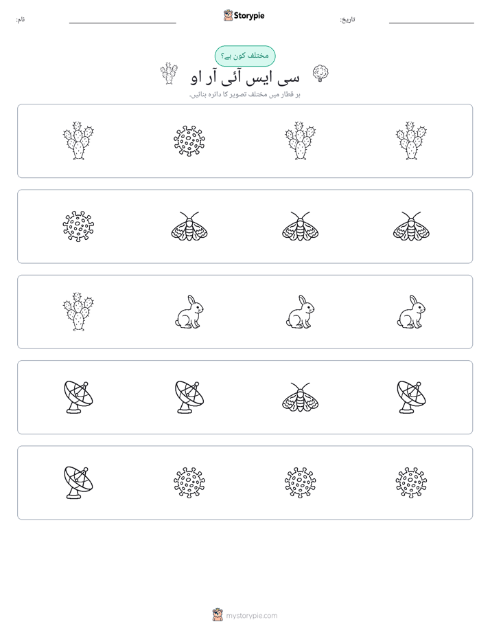 عجیب ایک