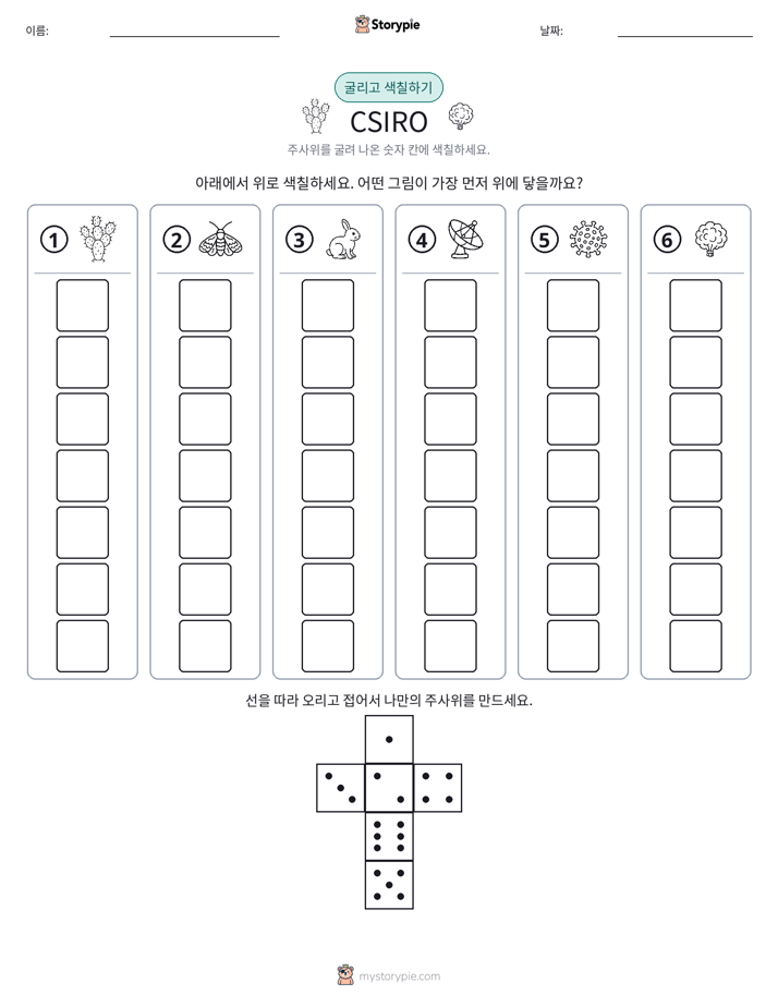 롤 & 색칠하기