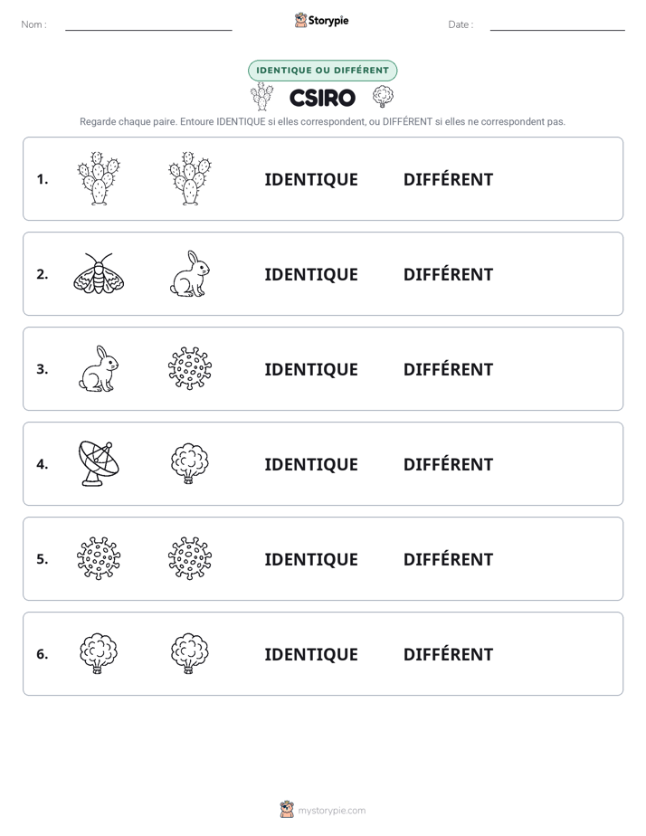 Identique ou Différent
