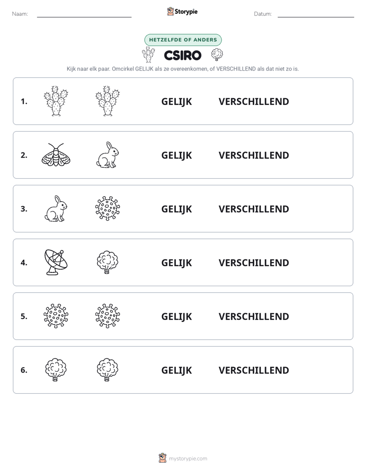 Zelfde of Verschillend